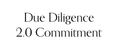 about-due-diligence-480x206