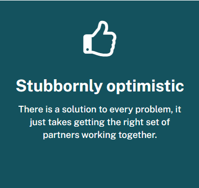 optimistic optimistic