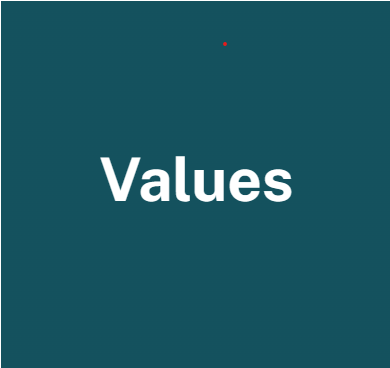 values values